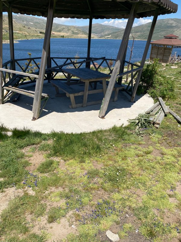 Aydıntepe Yaylası Cami Ve Çevresi Bakımsızlıktan Şikâyet Ediliyor