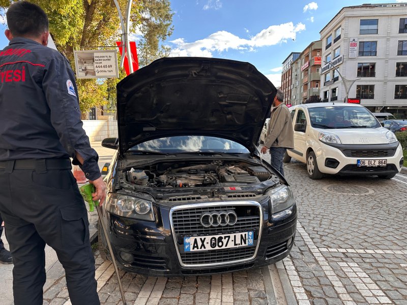 Bayburt’ta Park Halindeki Aracın Motoruna Kedi Sıkıştı!