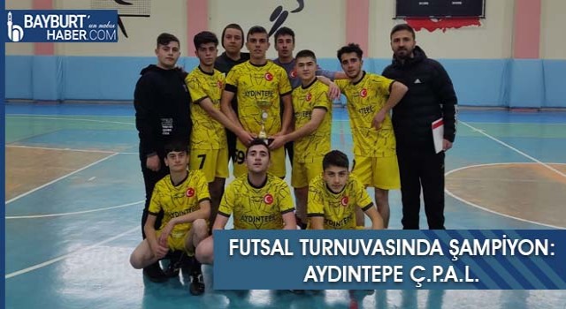 Futsal Turnuvasında Şampiyon: Aydıntepe Ç.P.A.L.