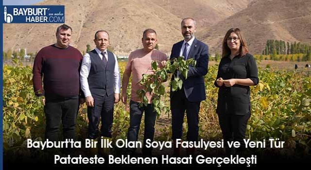 Bayburt'ta Bir İlk Olan Soya Fasulyesi ve Yeni Tür Patateste Beklenen Hasat Gerçekleşti