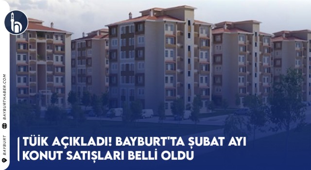 TÜİK Açıkladı! Bayburt'ta Şubat Ayı Konut Satışları Belli Oldu