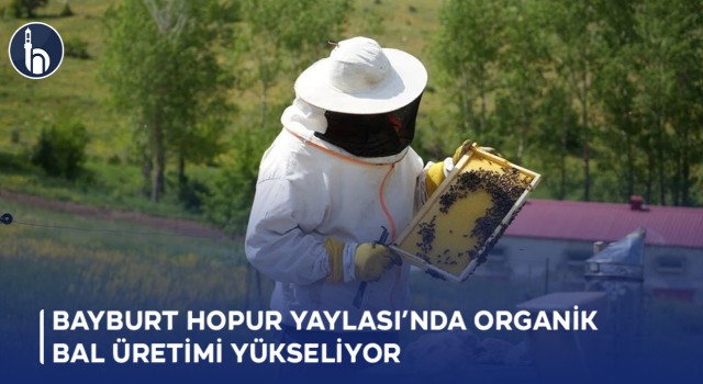 Bayburt Hopur Yaylası’nda Organik Bal Üretimi Yükseliyor