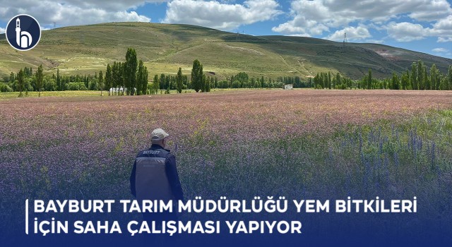 Bayburt Tarım Müdürlüğü Yem Bitkileri İçin Saha Çalışması Yapıyor