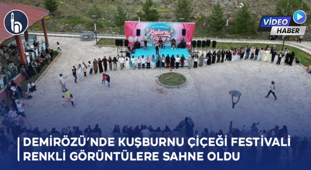 Bayburt'un Demirözü’nde Kuşburnu Çiçeği Festivali Renkli Görüntülere Sahne Oldu