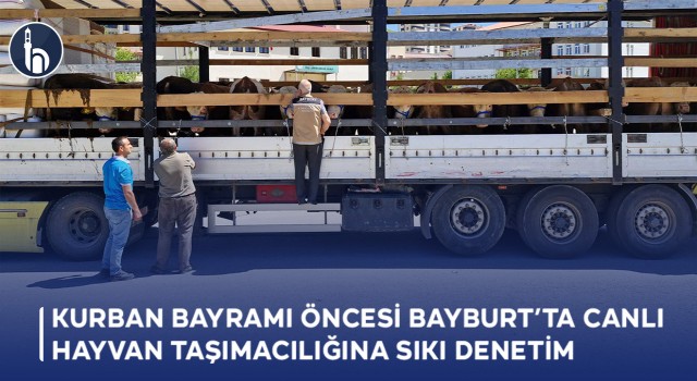 Kurban Bayramı Öncesi Bayburt’ta Canlı Hayvan Taşımacılığına Sıkı Denetim