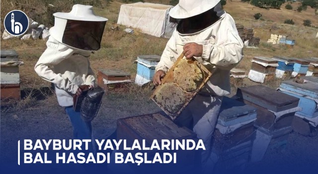 Bayburt Yaylalarında Bal Hasadı Başladı