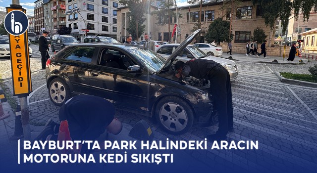 Bayburt’ta Park Halindeki Aracın Motoruna Kedi Sıkıştı!