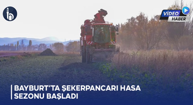Bayburt’ta Şekerpancarı Hasat Sezonu Başladı