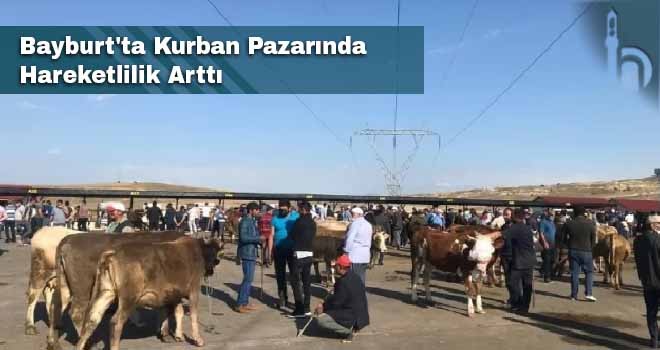 Bayburt'ta Kurban Pazarında Hareketlilik Arttı