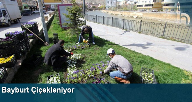 Bayburt Çiçekleniyor