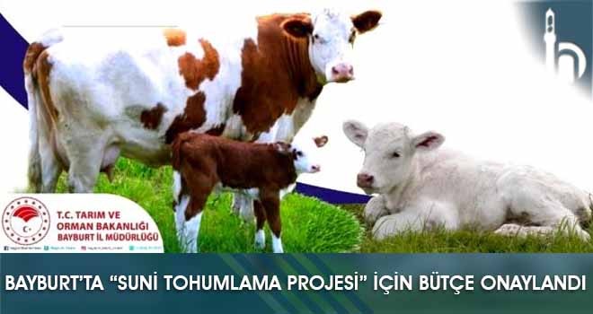 Bayburt’ta “Suni Tohumlama Projesi” İçin Bütçe Onaylandı