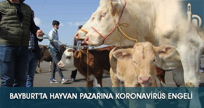 Bayburt'ta Hayvan Pazarına Koronavirüs Engeli