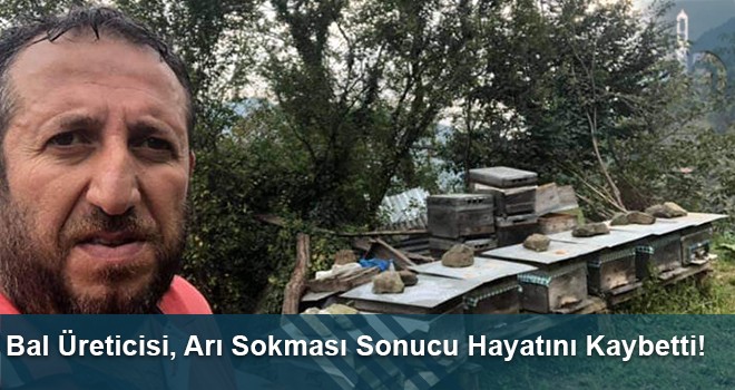 Bal Üreticisi, Arı Sokması Sonucu Hayatını Kaybetti!