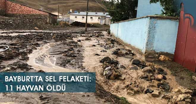 Bayburt'ta Sel Felaketi: 11 Hayvan Öldü