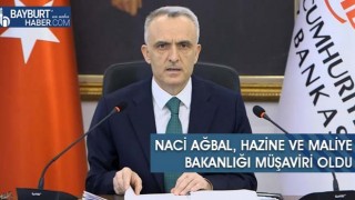 Naci Ağbal, Hazine ve Maliye Bakanlığı müşaviri oldu