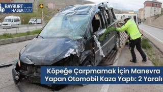 Köpeğe Çarpmamak İçin Manevra Yapan Otomobil Kaza Yaptı: 2 Yaralı