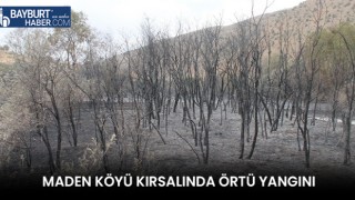 Maden Köyü Kırsalında Örtü Yangını