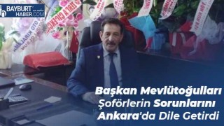 Başkan Mevlütoğulları Şoförlerin Sorunlarını Ankara'da Dile Getirdi