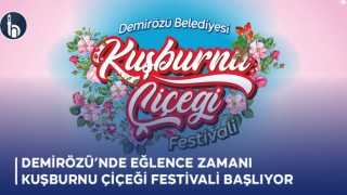 Bayburt Demirözü’nde Eğlence Zamanı, Kuşburnu Çiçeği Festivali Başlıyor
