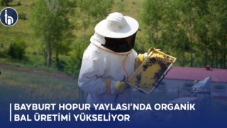 Bayburt Hopur Yaylası’nda Organik Bal Üretimi Yükseliyor