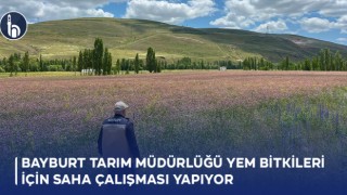 Bayburt Tarım Müdürlüğü Yem Bitkileri İçin Saha Çalışması Yapıyor