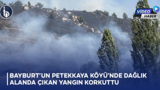 Bayburt'un Petekkaya Köyü’nde Dağlık Alanda Çıkan Yangın Korkuttu!