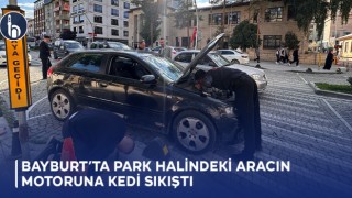 Bayburt’ta Park Halindeki Aracın Motoruna Kedi Sıkıştı!