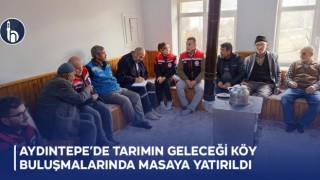 Aydıntepe Çiğdemlik Köyü'nde Tarımın Geleceği Köy Buluşmalarında Masaya Yatırıldı