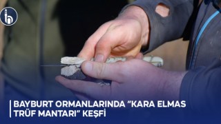 Bayburt Ormanlarında "Kara Elmas Trüf Mantarı" Keşfi