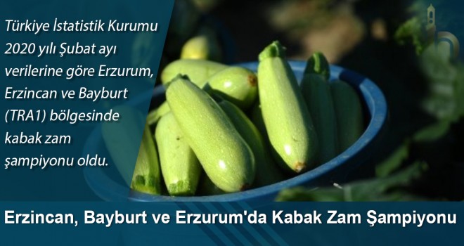 Erzincan, Bayburt ve Erzurum'da Kabak Zam Şampiyonu