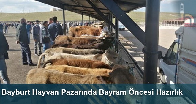 Bayburt Hayvan Pazarında Bayram Öncesi Hazırlık