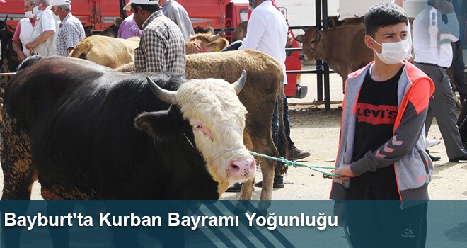 Bayburt'ta Kurban Bayramı Yoğunluğu