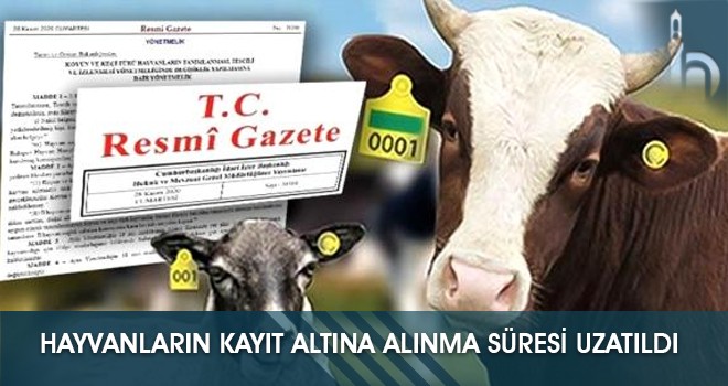 Hayvanların Kayıt Altına Alınma Süresi Uzatıldı