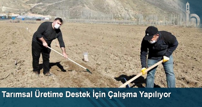 Tarımsal Üretime Destek İçin Çalışma Yapılıyor