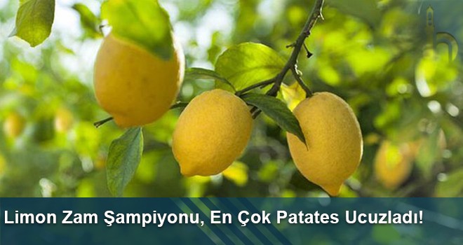 Bayburt’ta Limon Zam Şampiyonu, En Çok Patates Ucuzladı!