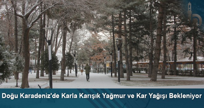 Doğu Karadeniz'de karla karışık yağmur ve kar yağışı bekleniyor