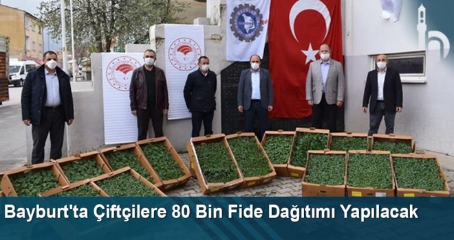 Bayburt'ta Çiftçilere 80 Bin Fide Dağıtımı Yapılacak