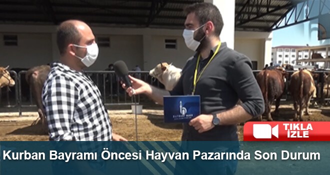 Kurban Bayramı Öncesi Hayvan Pazarında Son Durum