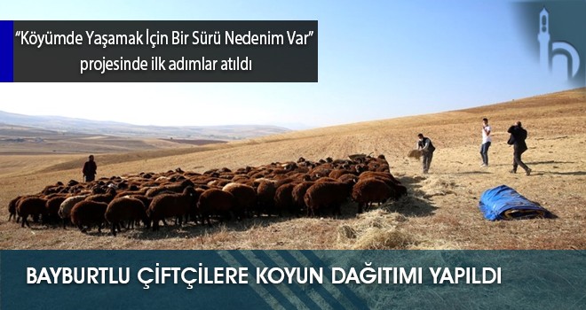 Bayburtlu Çiftçilere Koyun Dağıtımı Yapıldı