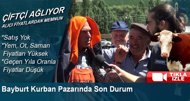 Bayburt Kurban Pazarında Son Durum