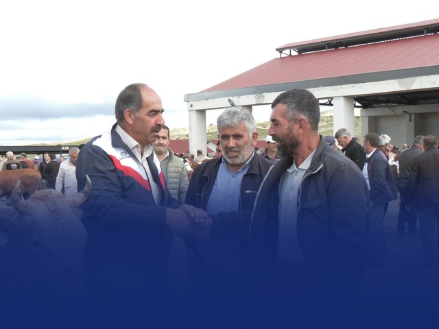 Bayburt'ta Bayram Öncesi Kurban Pazarında Kıyasıya Pazarlık Dönemi