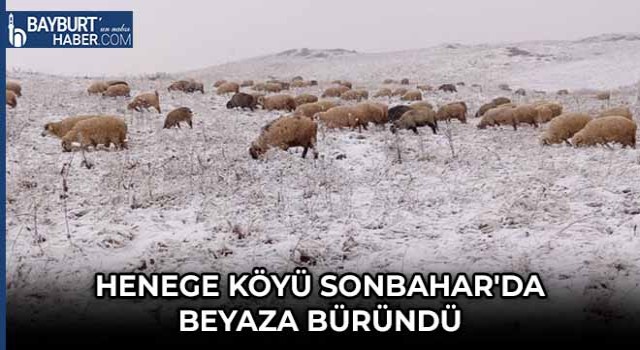 Henege Köyü Sonbahar'da Beyaza Büründü