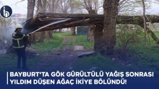 Bayburt'ta Gök Gürültülü Yağış Sonrası Yıldım Düşen Ağaç İkiye Bölündü!