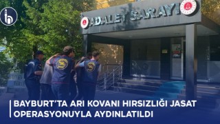 Bayburt’ta Arı Kovanı Hırsızlığı JASAT Operasyonuyla Aydınlatıldı