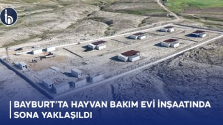 Bayburt’ta Hayvan Bakımevi İnşaatında Sona Yaklaşıldı!