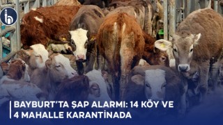 Bayburt’ta Şap Alarmı: 14 Köy ve 4 Mahalle Karantinada