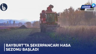 Bayburt’ta Şekerpancarı Hasat Sezonu Başladı