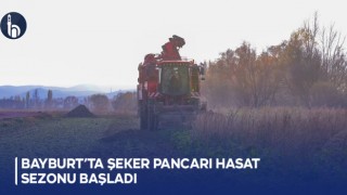 Bayburt’ta Şekerpancarı Hasat Sezonu Başladı
