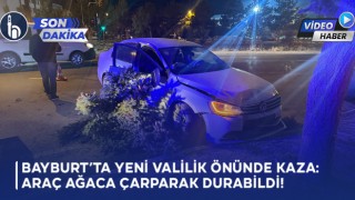 Bayburt’ta Yeni Valilik Önünde Kaza: Araç Ağaca Çarparak Durabildi