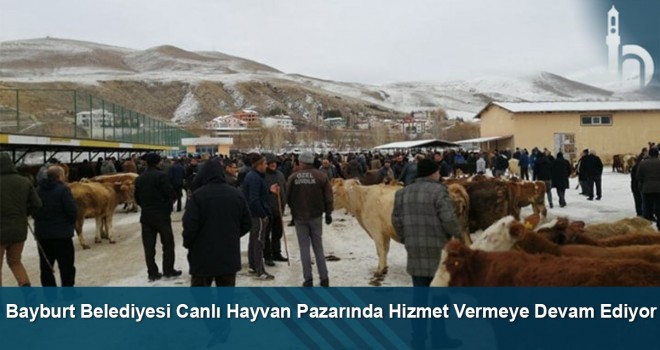 Bayburt Belediyesi canlı hayvan pazarında hizmet vermeye devam ediyor